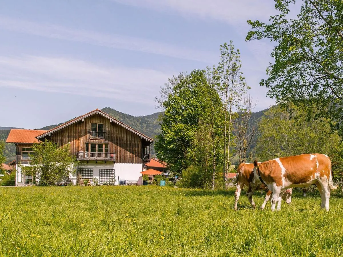 アパート Alpen Chalet Alte Talstation レンクグリース ドイツ